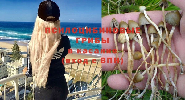 прущие крисы Ельня