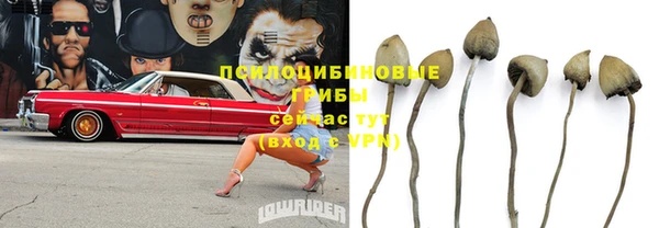 МДПВ Медногорск