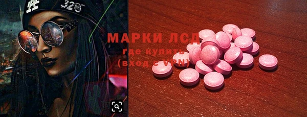 прущие грибы Магадан
