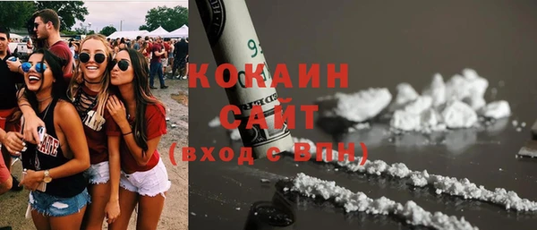 прущие грибы Магадан