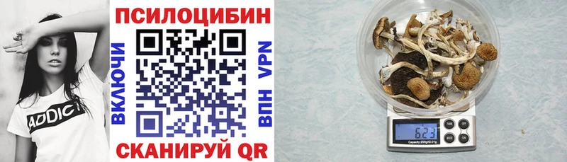 Галлюциногенные грибы Psilocybine cubensis  KRAKEN ONION  Иланский  где купить наркоту 
